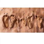 Kindle eBook Obstetrics Gynecology Medical Reference English-0