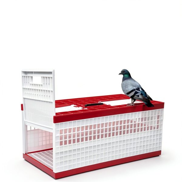 Racing Pigeon Carrier Box LIAPDG 60x31x23cm Cage with Dual Doors-3