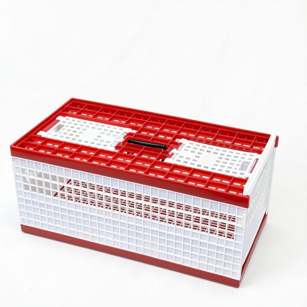 Racing Pigeon Carrier Box LIAPDG 60x31x23cm Cage with Dual Doors-6