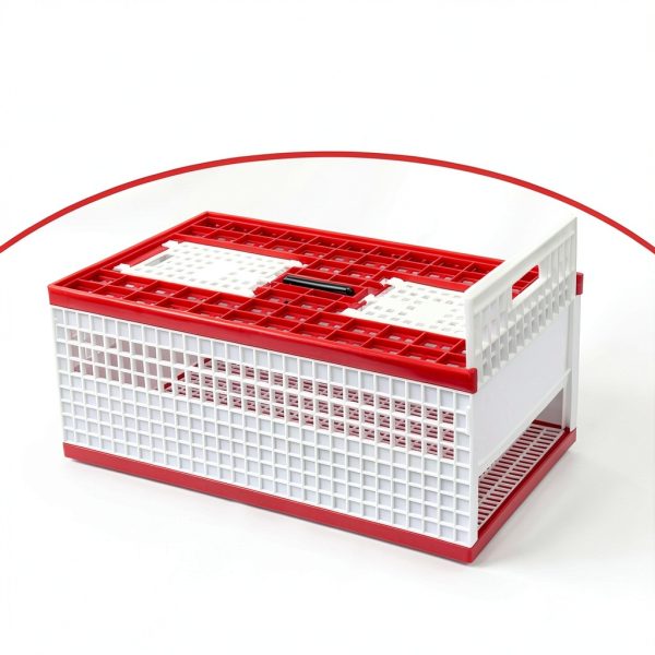 Racing Pigeon Carrier Box LIAPDG 60x31x23cm Cage with Dual Doors-5