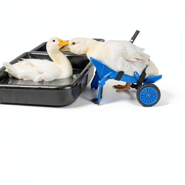 Duckys Wheelchair by Crispys3DPrinting Original Mobility Aid 16x10x6-1