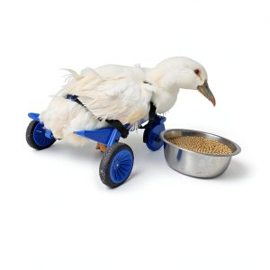 Duckys Wheelchair by Crispys3DPrinting Original Mobility Aid 16x10x6-0