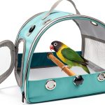 Bird Travel Carrier Wildox Lightweight Breathable Perch Carrier Green-0