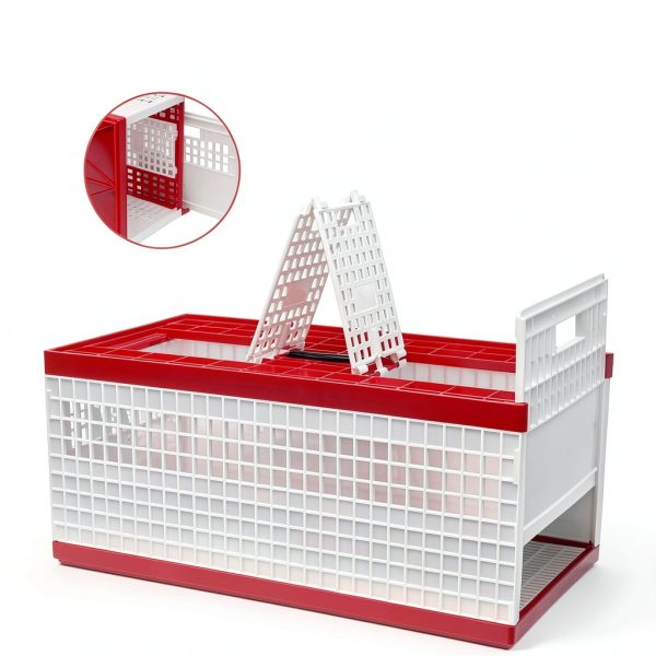 Racing Pigeon Carrier Box LIAPDG 60x31x23cm Cage with Dual Doors-4