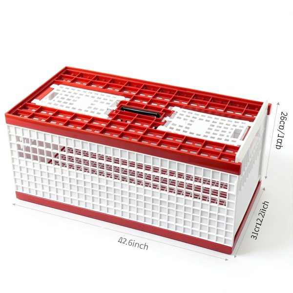 Racing Pigeon Carrier Box LIAPDG 60x31x23cm Cage with Dual Doors-2