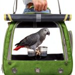 Bird Carrier Kreachur Travel Cage with Perch Clear Window Green-0
