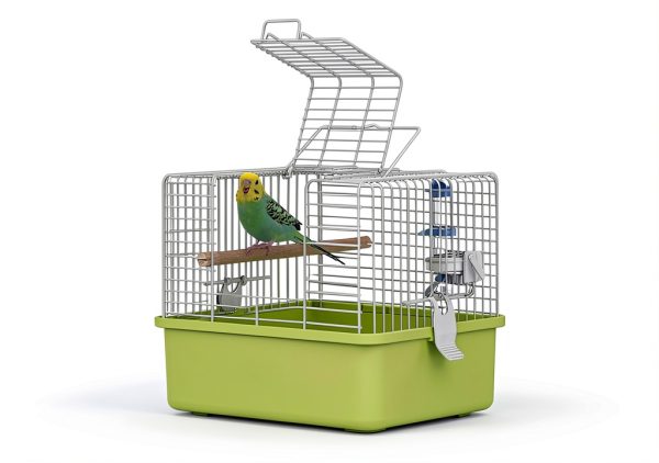 Portable Bird Travel Carrier by Misyue – 360° View, Large Size-4