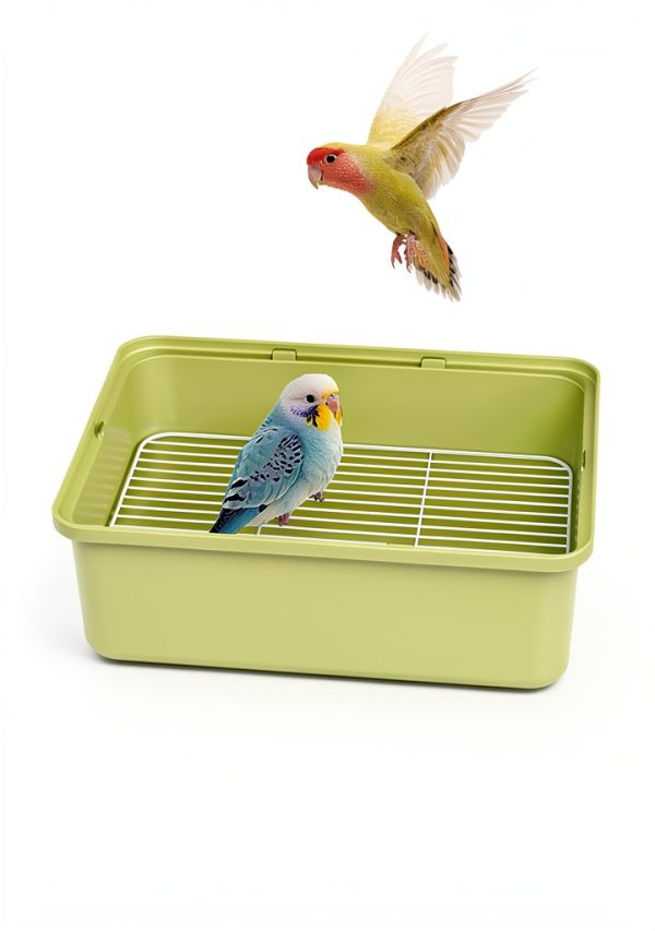 Portable Bird Travel Carrier by Misyue – 360° View, Large Size-6